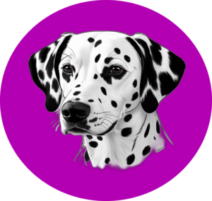 Spot Helper